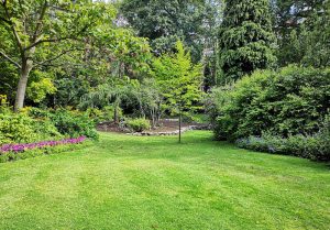 Optimiser l'expérience du jardin à Floringhem